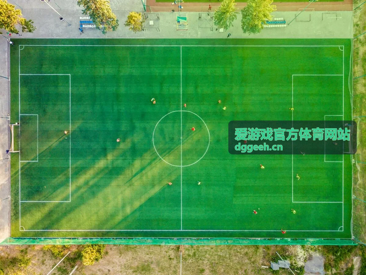爱游戏官方体育网站赛事现场画面