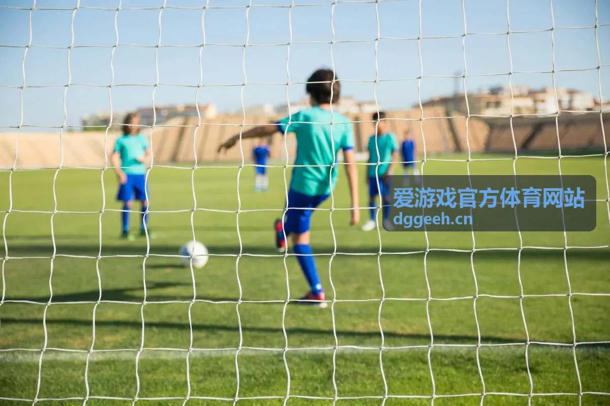 爱游戏官方体育网站数据演示栏目指标说明配图